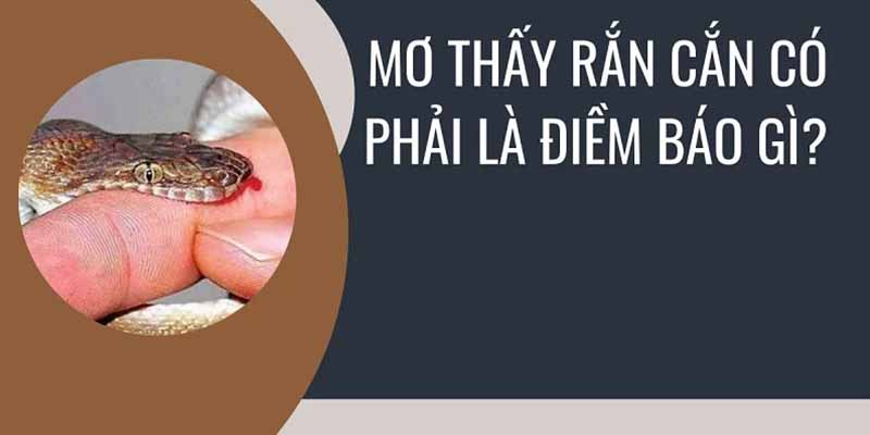 Nằm mơ thấy rắn cắn chảy máu - Báo hiệu tương lai